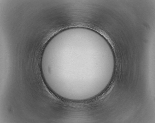X0000113990577200910021012