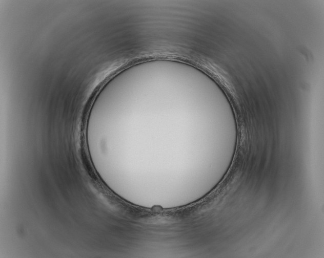 X0000113990578200910021012
