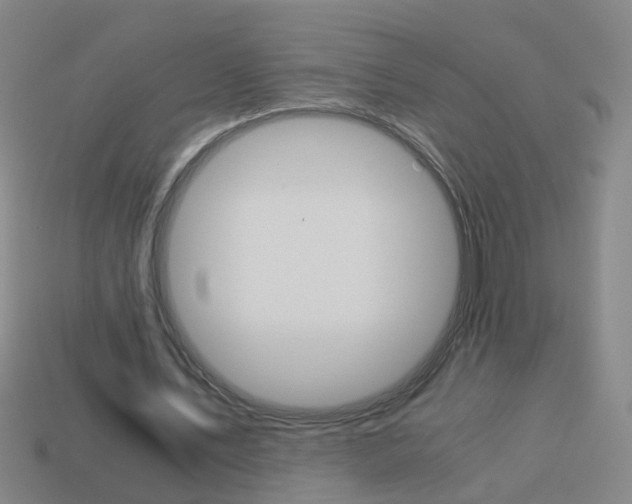 X0000113990579200910021012