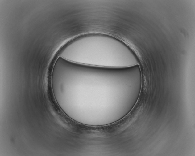 X0000113990580200910021012