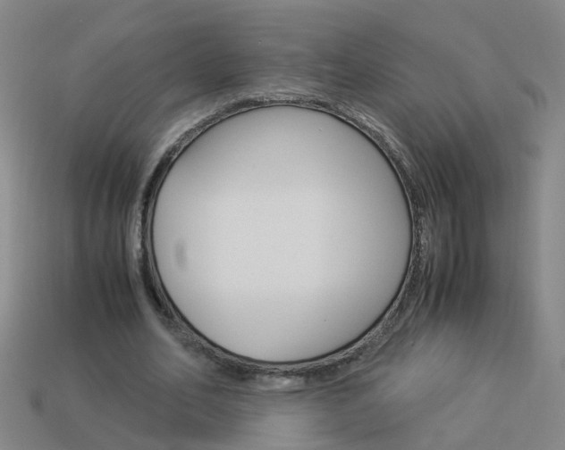 X0000113990582200910021011