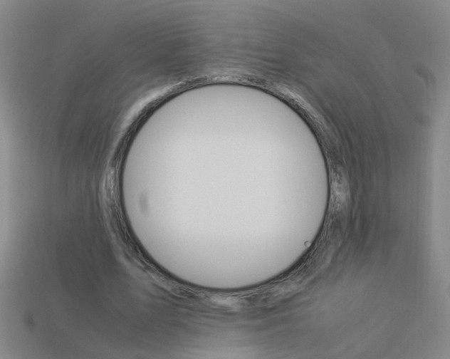 X0000113990583200910021011
