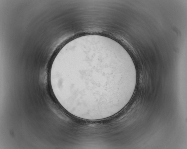 X0000113990584200910021011
