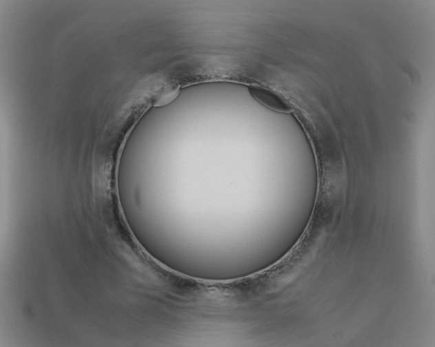 X0000113990585200910021011