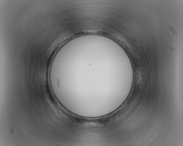 X0000113990586200910021011
