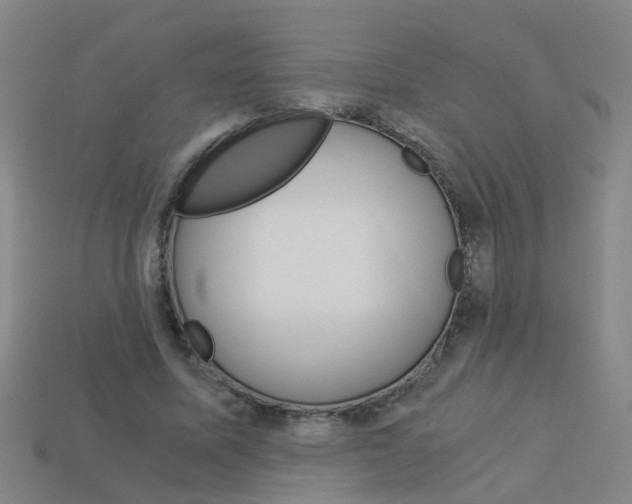 X0000113990587200910021011