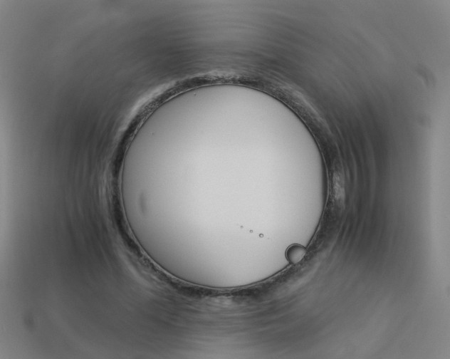 X0000113990588200910021011