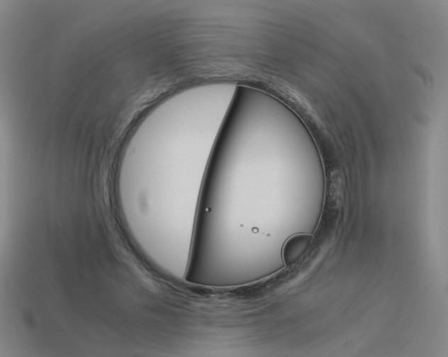 X0000113990589200910021011