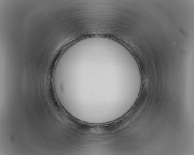 X0000113990591200910021011