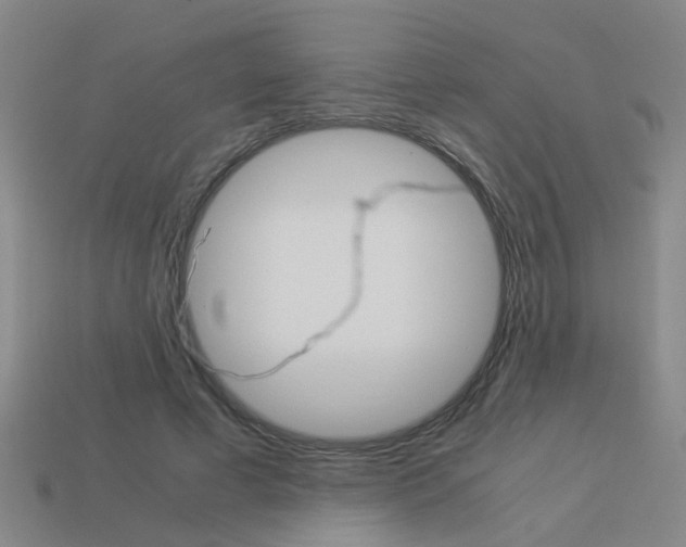 X0000113990593200910021011