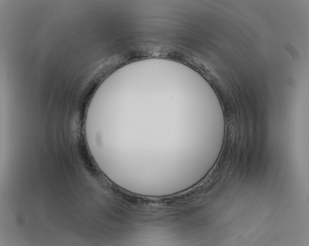X0000113990594200910021011