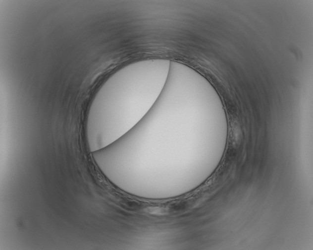 X0000113990595200910021011