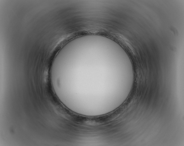 X0000113990596200910021011