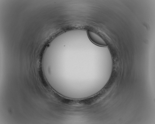 X0000113990597200910021011