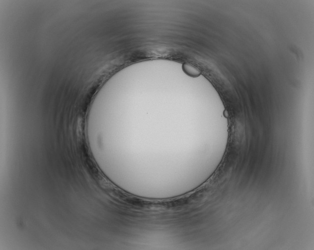 X0000113990598200910021011