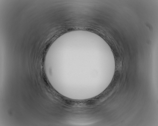 X0000113990599200910021011