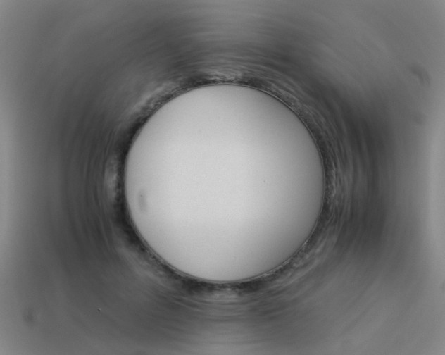 X0000113990600200910021011