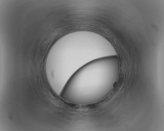 X0000113990601200910021011
