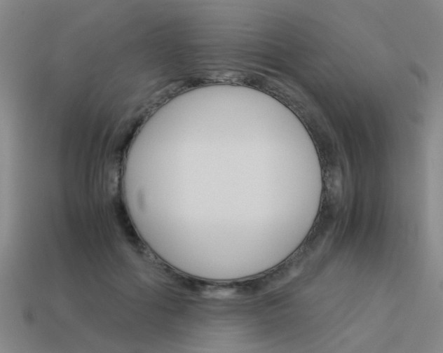 X0000113990602200910021011