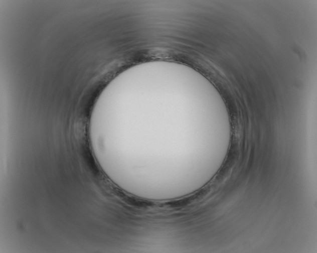 X0000113990603200910021011
