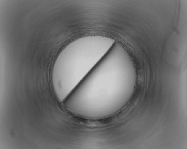 X0000113990605200910021011