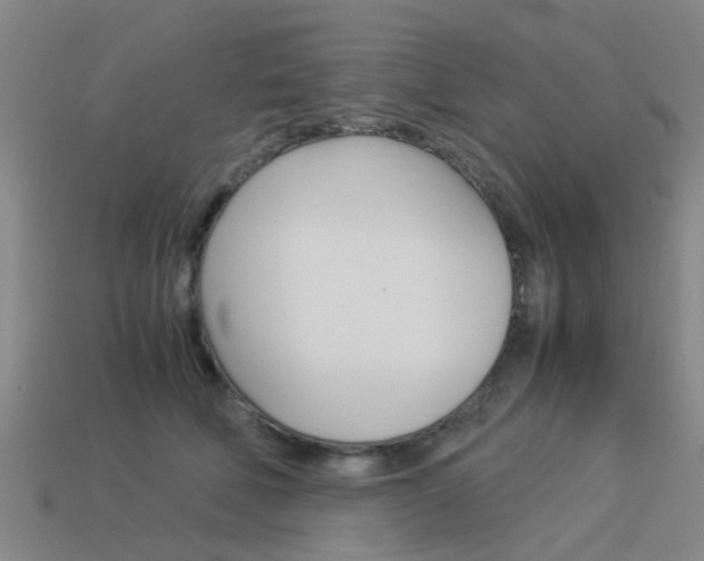 X0000113990610200910021011