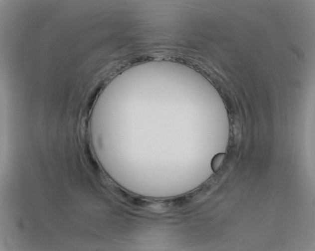 X0000113990611200910021011