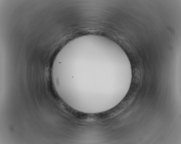 X0000113990612200910021011