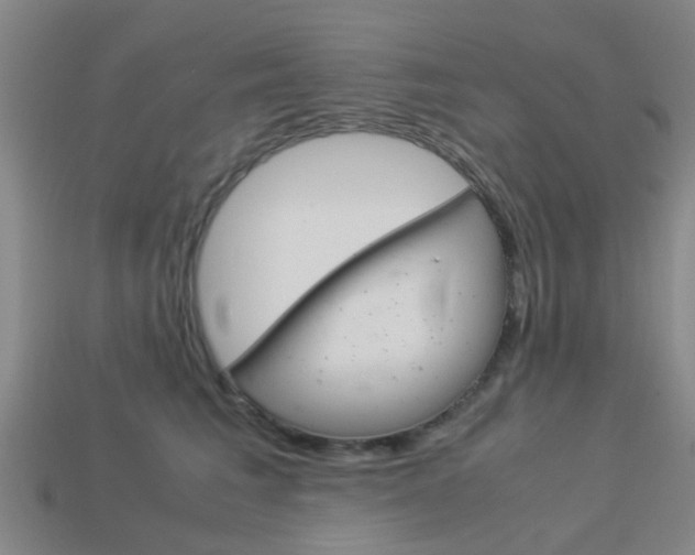 X0000113990613200910021011