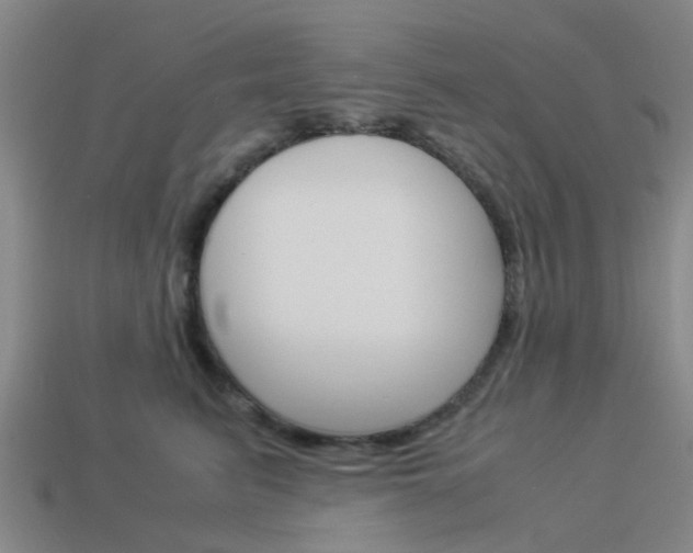 X0000113990615200910021011