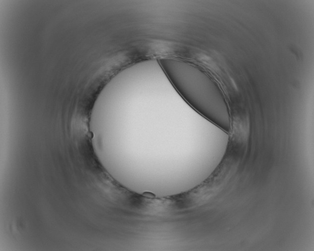 X0000113990621200910021011