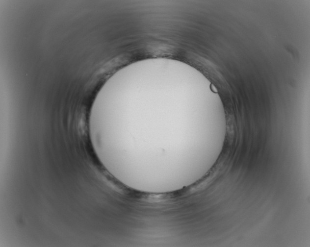 X0000113990622200910021011