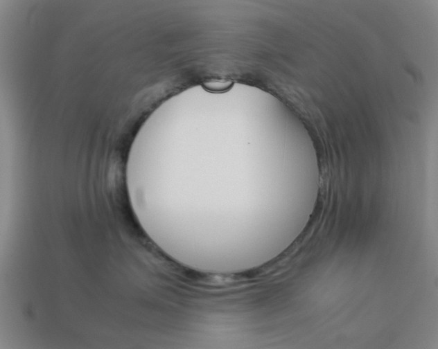 X0000113990623200910021011
