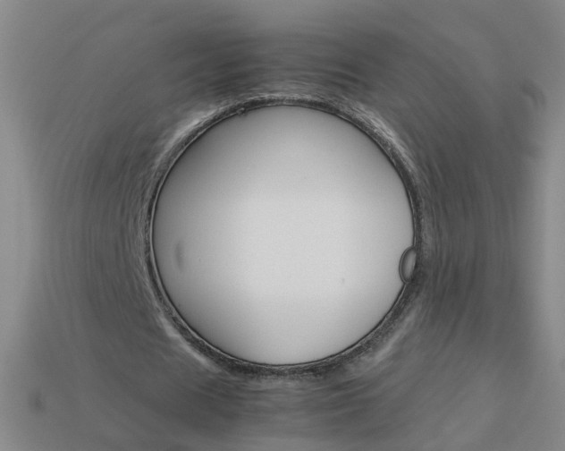 X0000113990625200910021010