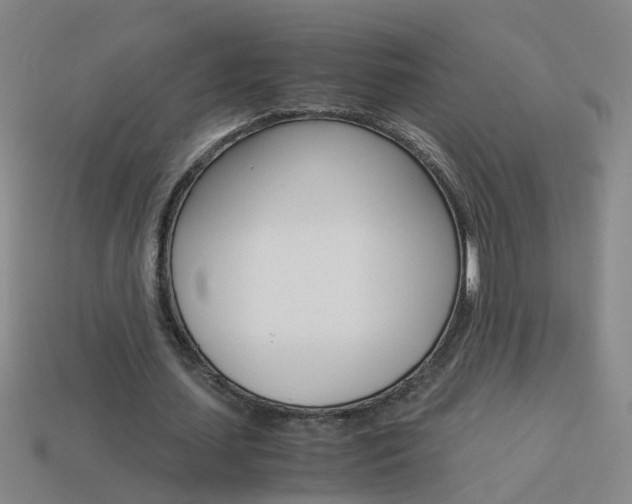 X0000113990627200910021010