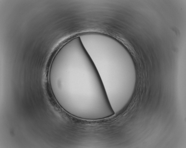 X0000113990628200910021010