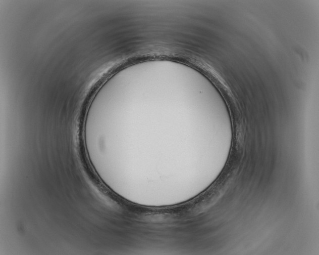X0000113990629200910021010
