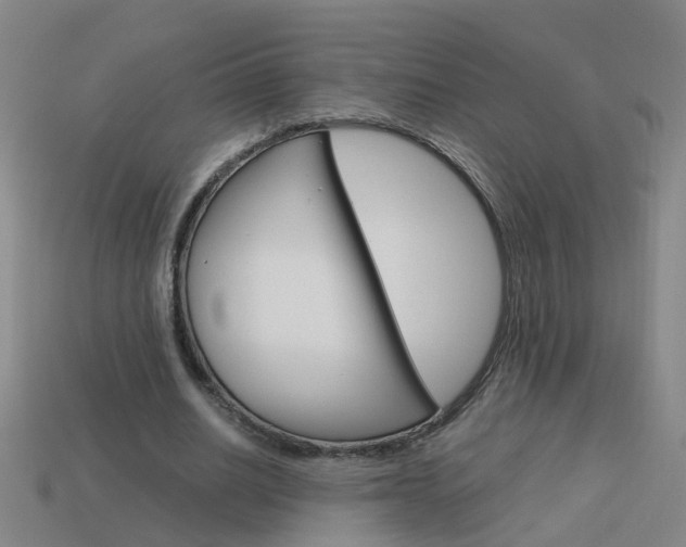 X0000113990630200910021010