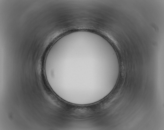 X0000113990631200910021010
