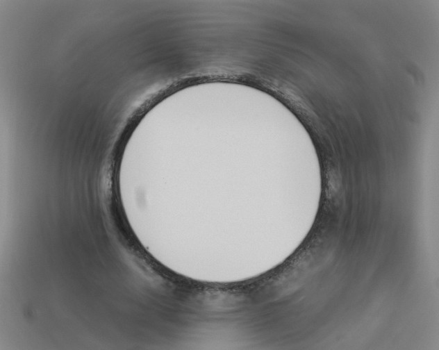 X0000113990632200910021010