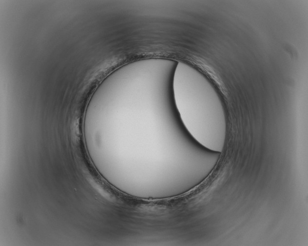 X0000113990633200910021010