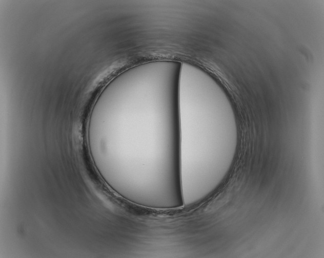 X0000113990634200910021010