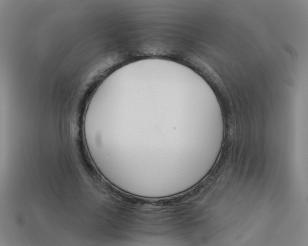 X0000113990635200910021010