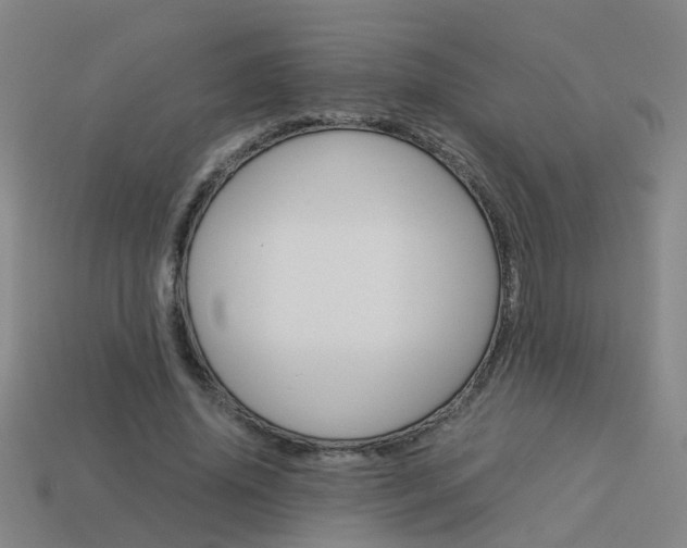 X0000113990636200910021010