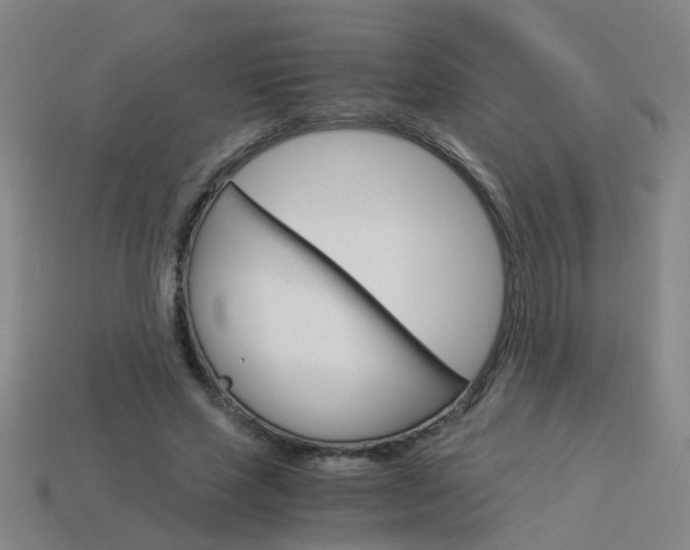 X0000113990637200910021011