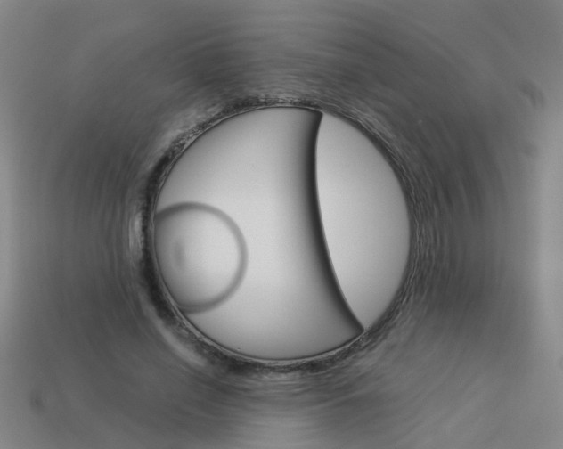 X0000113990638200910021011