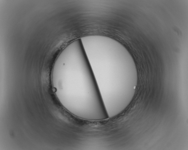 X0000113990642200910021011