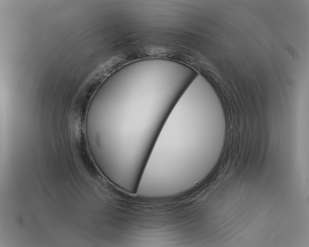 X0000113990644200910021011