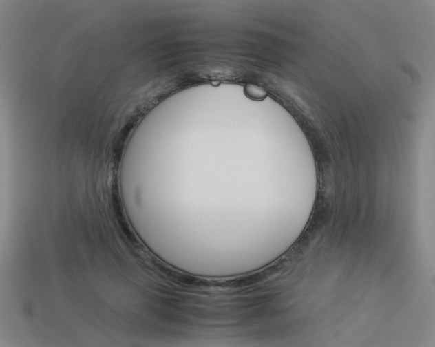 X0000113990645200910021011