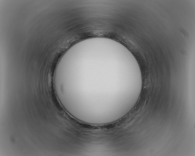 X0000113990646200910021011